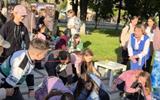 изображение_viber_2025-06-29_08-55-51-283