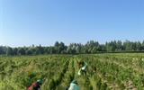 IMG-22f745ddba1709a1edb9384612772de7-V