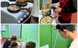 Collage_20260721_205014
