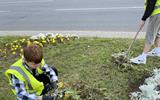 IMG-47ec429760e0e0e4fe78135480e839d8-V