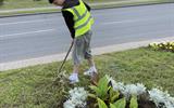 IMG-6f17b32d1454409b5cd53a52d0c50a1d-V