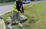 IMG-d9805a23ec181383320cb732e97ebb88-V
