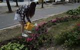 IMG-67785abdece945a6d35cea4a4d3e83fc-V