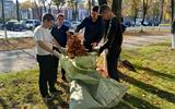 изображение_viber_2026-10-08_15-50-19-191