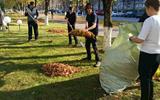 изображение_viber_2026-10-08_15-50-20-461