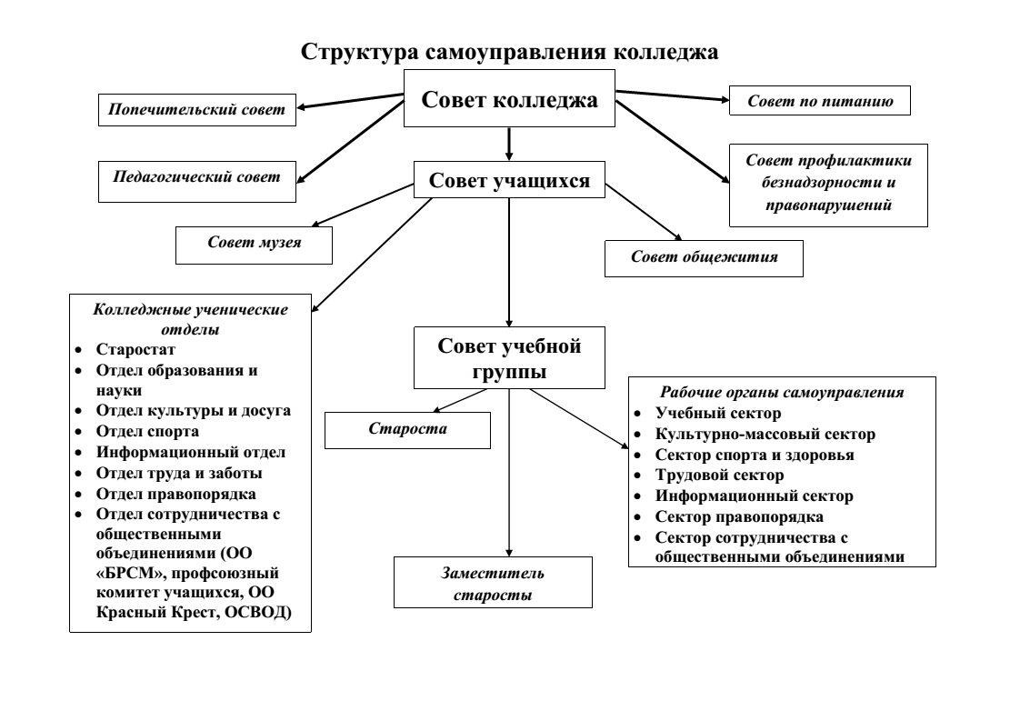 Как проходят в органы самоуправления в колледже